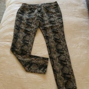 CAbi. Super skinny Jean